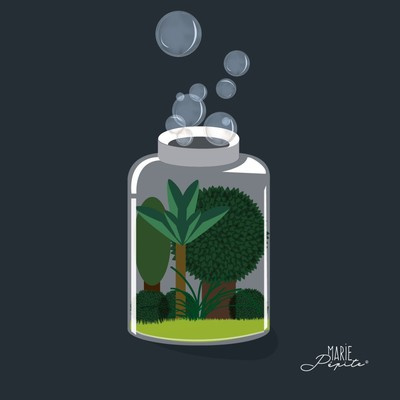 Tableaux - Bocal Jardin