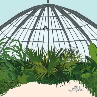 Tableaux - Jardin des plantes