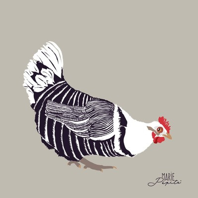 Tableaux - Poule rayée