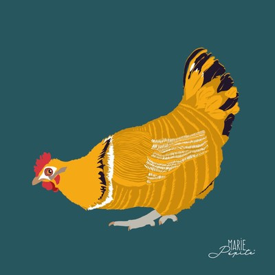 Tableaux - Poule rousse