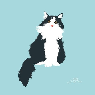 Tableaux - Chat Gaston