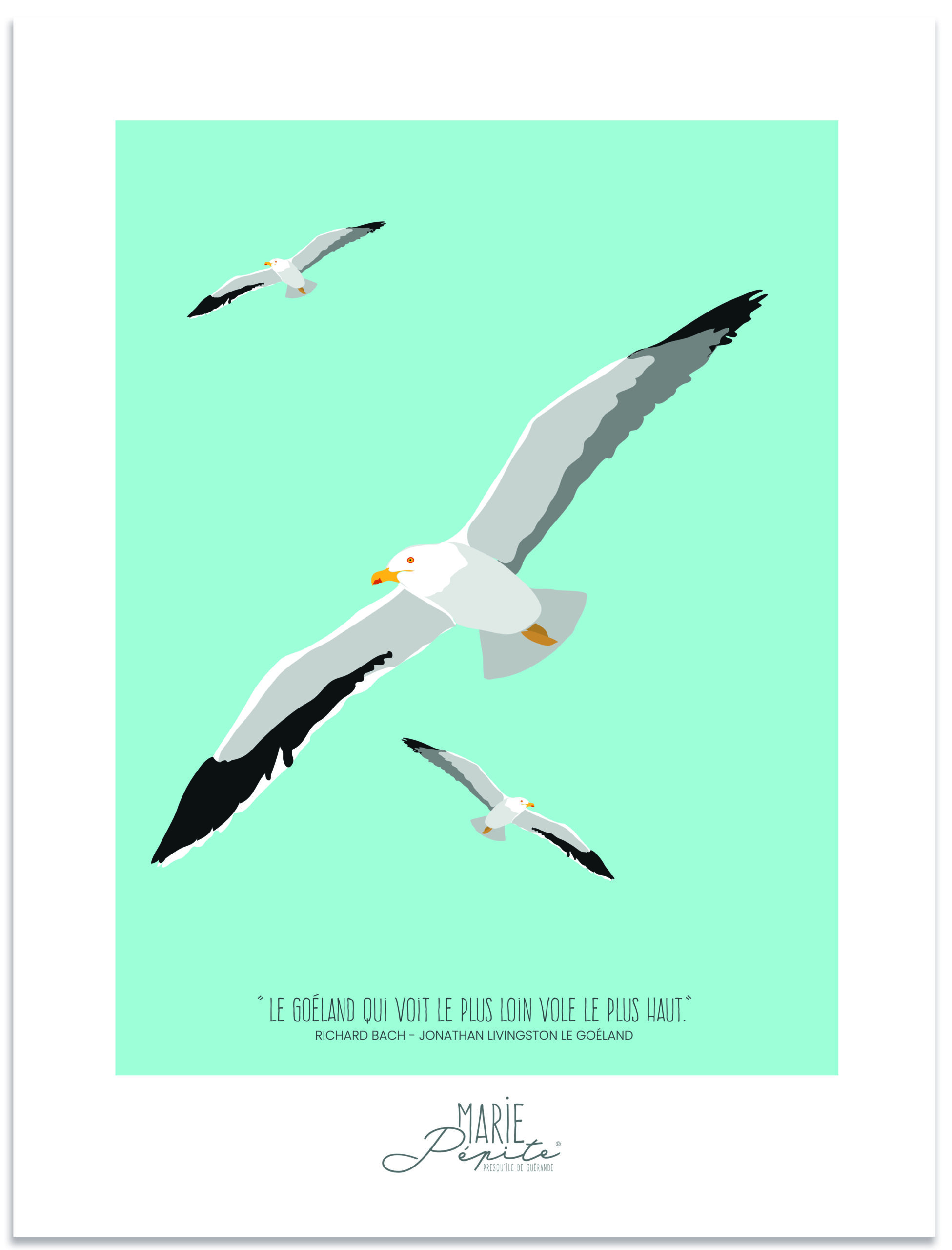 Affiche - Vol Goéland