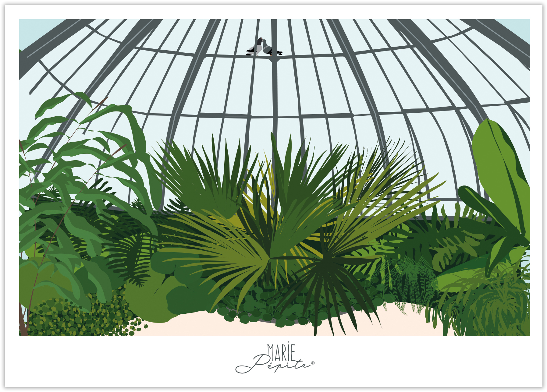Cartes Postales - JardinPlantes