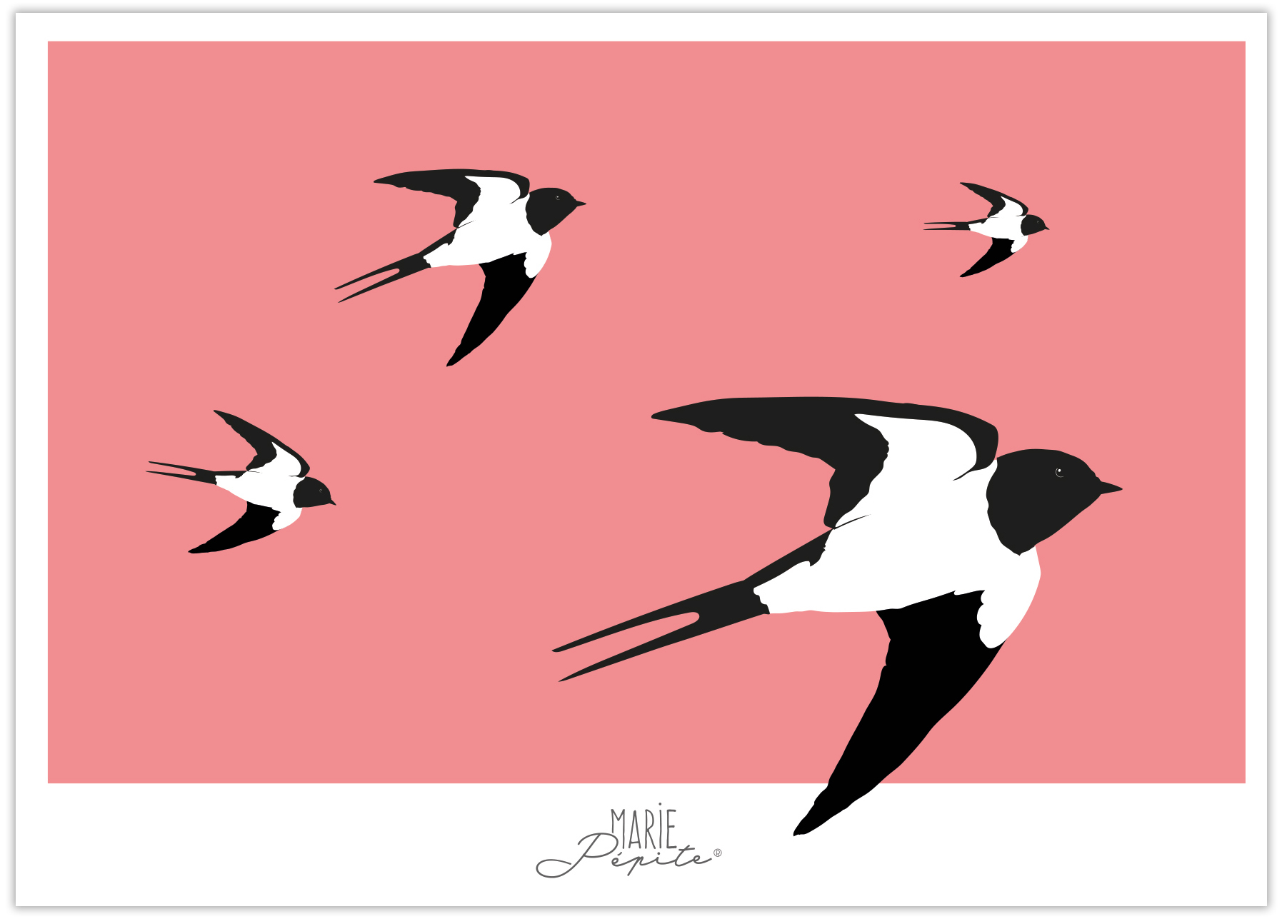 Cartes Postales - Hirondelles