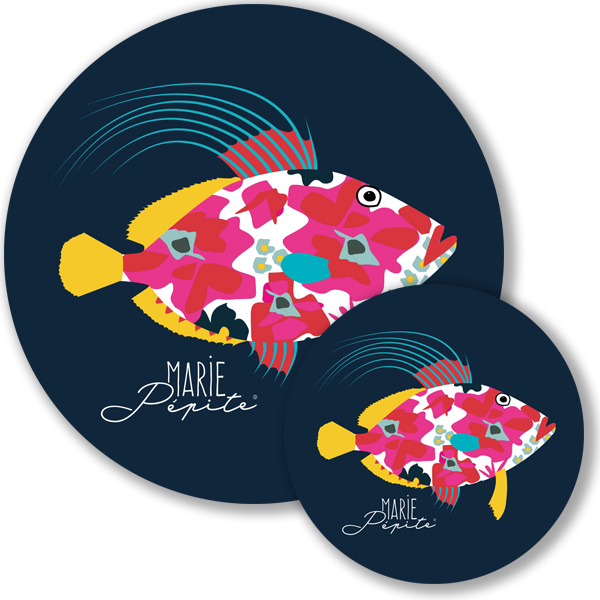 Magnets - Poisson Saint-Pierre marine