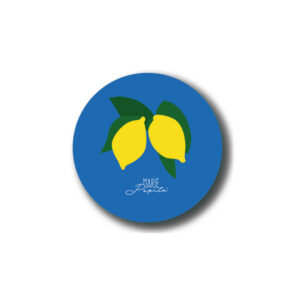 Magnets - Citrons