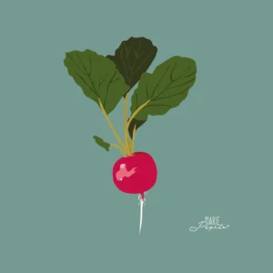 Tableaux - Radis